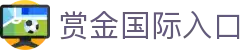 赏金国际登录入口